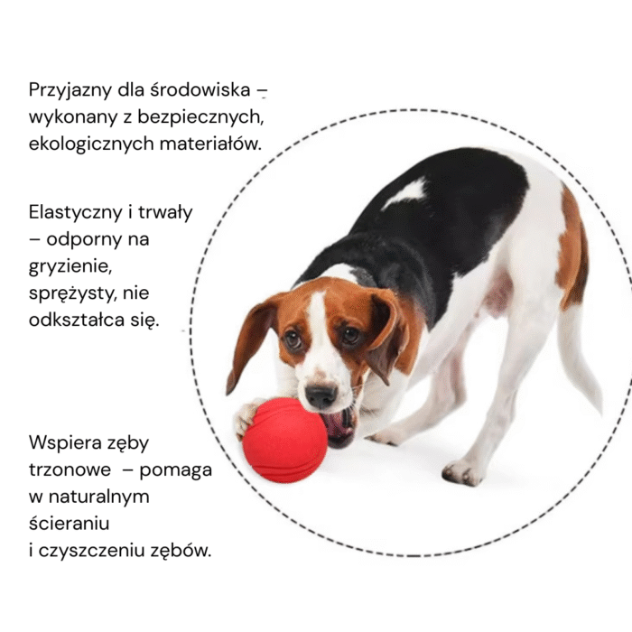 Piłko-Sznurek zabawka treningowa dla zwierząt - obrazek 4