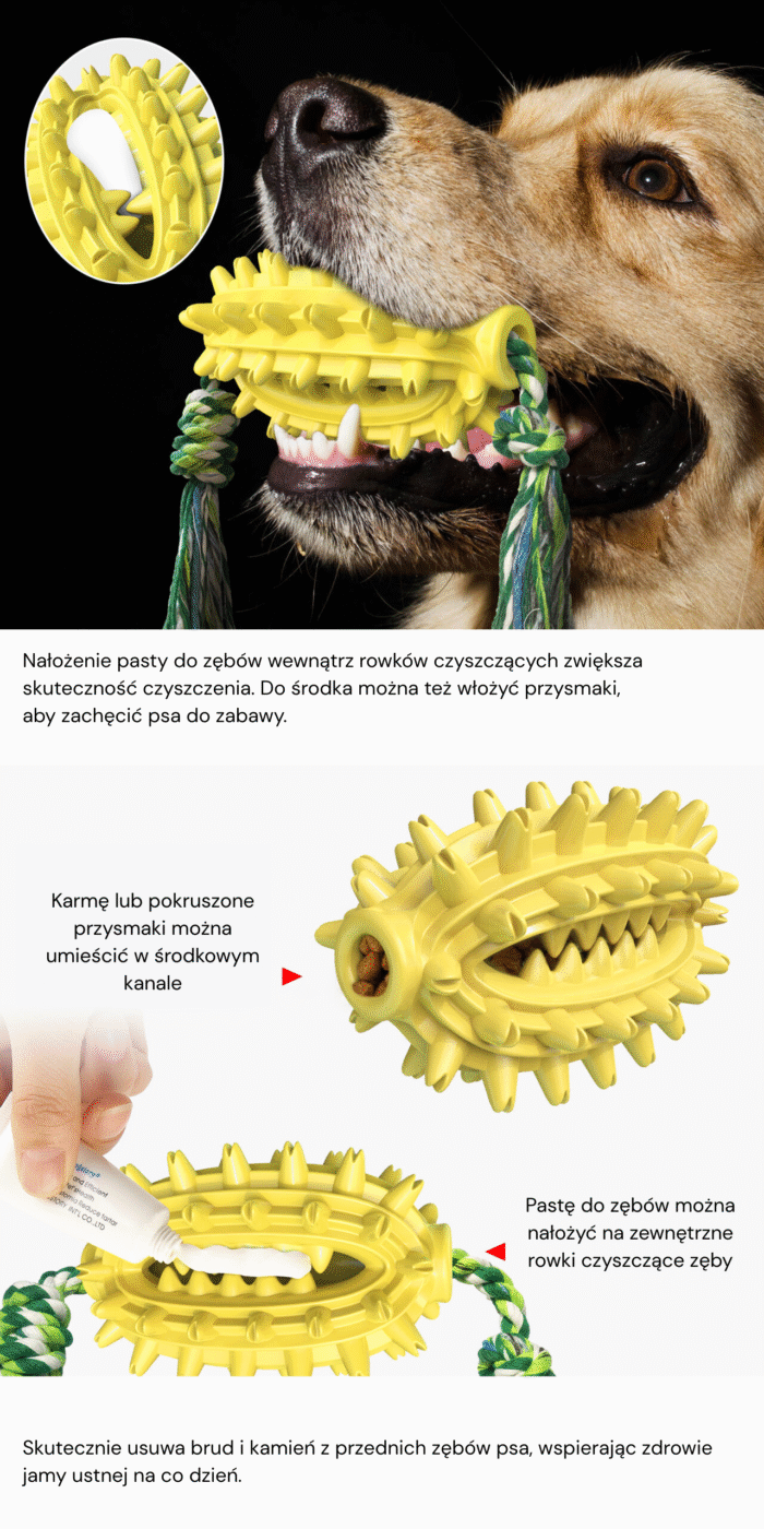 Kaktusowy gryzak dla psa - obrazek 3