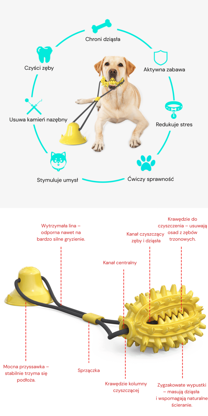 Kaktusowy gryzak dla psa z przyssawką - obrazek 3
