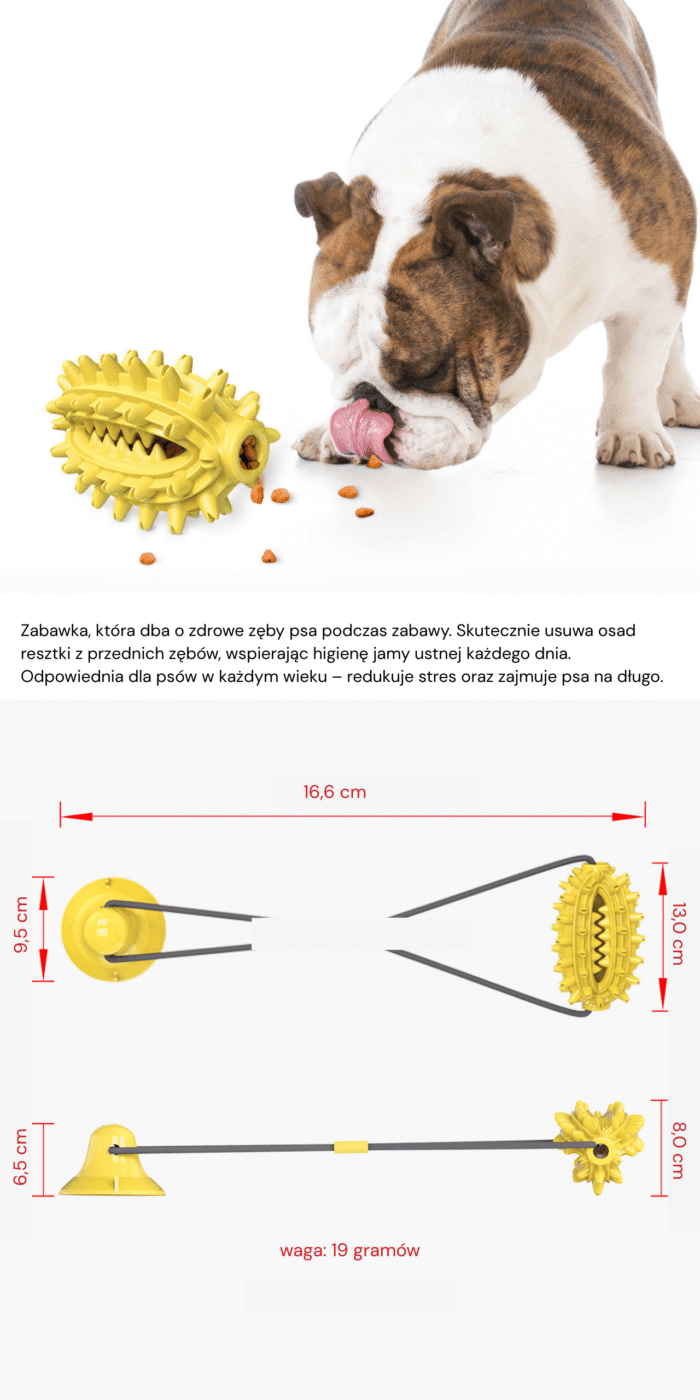 Kaktusowy gryzak dla psa z przyssawką - obrazek 4