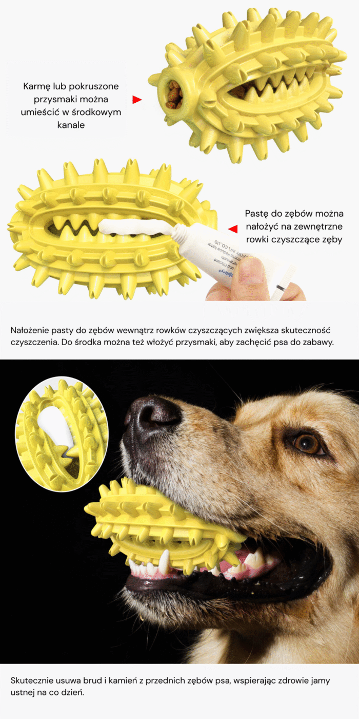 Kaktusowy gryzak dla psa - obrazek 4